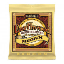 Струны Ernie Ball 2002