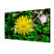 Панель Hikvision DS-D2055HE-G