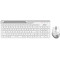 Комплект A4Tech Fstyler FB2535C белый/серый