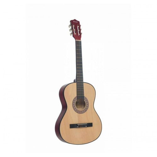 Классическая гитара Terris TC-3801A NA