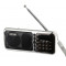 Радиоприемник Сигнал Electronics РП-226BT черный/серебристый