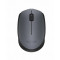 Мышь Logitech M170 черный/серый