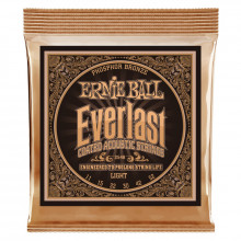 Струны для акустической гитары Ernie Ball 2548