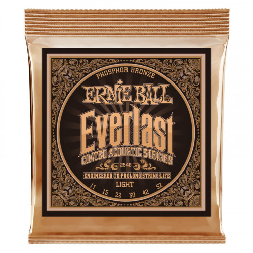 Струны для акустической гитары Ernie Ball 2548