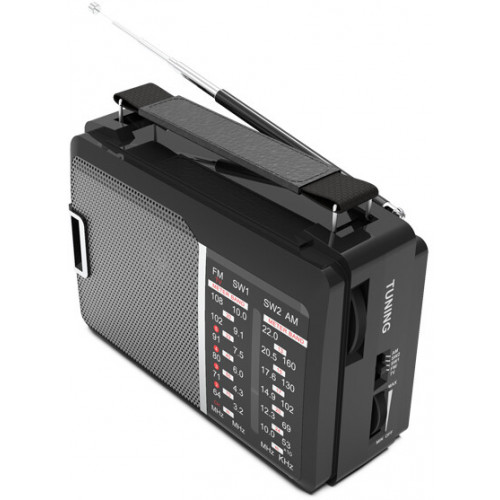 Радиоприемник Ritmix RPR-190