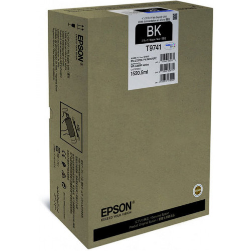 Картридж Epson C13T974100