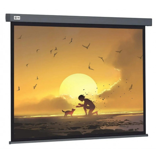 Экран для проектора Cactus CS-PSW-124X221-SG