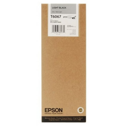 Картридж Epson C13T606700