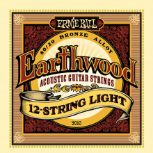 Струны Ernie Ball 2010