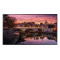Дисплей Samsung LH50QBBEBGCXCI