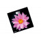 Весы напольные Centek CT-2416 Pink Flower