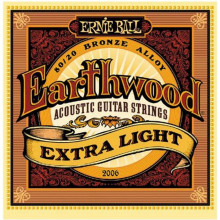 Струны Ernie Ball 2006