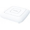 Точка доступа D-Link DAP-600P (DAP-600P/RU/A1A)
