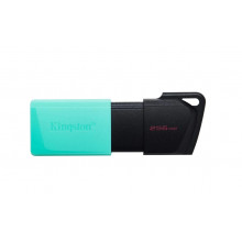 Флеш-диск Kingston DTXM/256GB