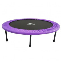 Батут DFC JUMP SUN 55 (55INCH-JS-P) фиолетовый