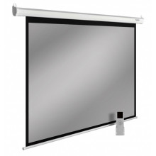 Экран для проектора Cactus SIlverMotoExpert CS-PSSME-220X138-WT бел