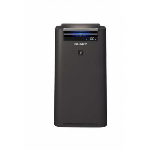 Очиститель воздуха Sharp KC-G41RH