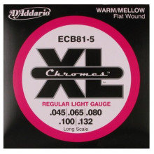 Струны D'Addario ECB81-5