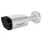 Видеокамера IP Falcon Eye FE-IPC-BV2-50pa (2.8-12 мм)