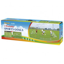 Ворота DFC GOAL429A
