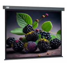 Экран для проектора Cactus CS-PSW-127X127-SG