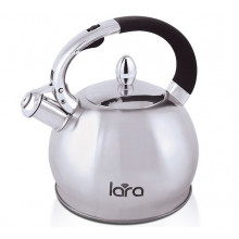 Чайник Lara LR00-10