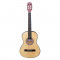 Классическая гитара Terris TC-3901 A NA