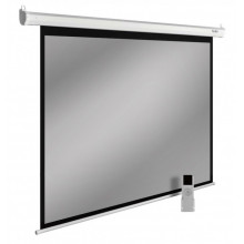 Экран для проектора Cactus SIlverMotoExpert CS-PSSME-200X150-WT бел