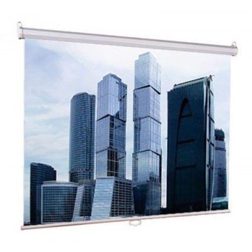 Экран для проектора Lumien Eco Picture LEP-100102