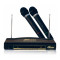 Микрофон Ritmix RWM-220