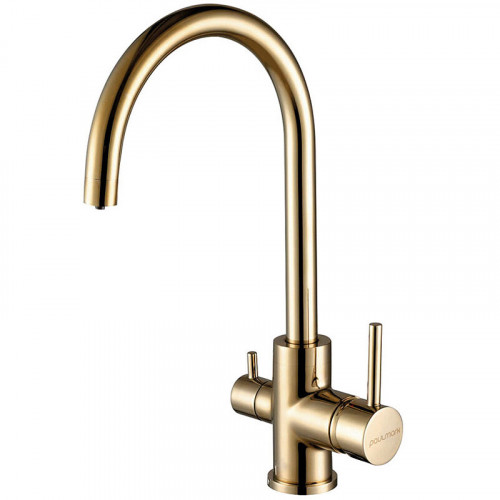 Смеситель для кухни Paulmark ESSEN Es213211-G