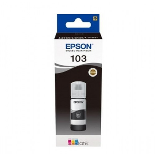 Картридж Epson C13T01C100