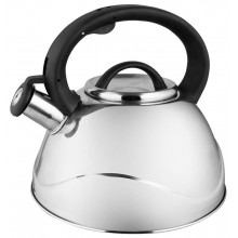 Чайник Webber BE-0524