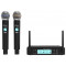 Микрофон Ritmix RWM-222 black