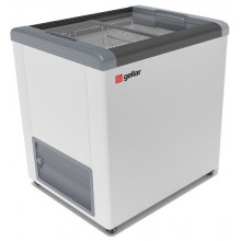 Морозильная камера Frostor Gellar FG 250 C серый
